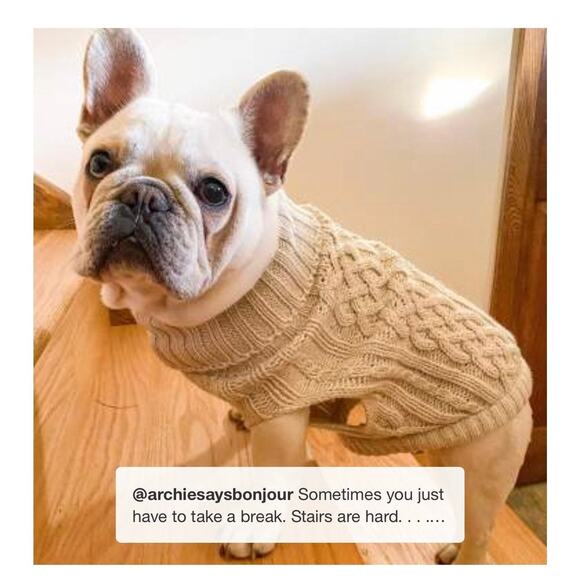 NEW Dog Cat Clothes PET KNIT SWEATER Size MED 20-40LB Cream Boots & Barkley NWT - Picture 9 of 13